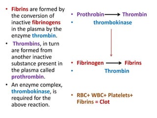 • Fibrins are formed by
the conversion of
inactive fibrinogens
in the plasma by the
enzyme thrombin.
• Thrombins, in turn
are formed from
another inactive
substance present in
the plasma called
prothrombin.
• An enzyme complex,
thrombokinase, is
required for the
above reaction.
• Prothrobin Thrombin
• thrombokinase
• Fibrinogen Fibrins
• Thrombin
• RBC+ WBC+ Platelets+
Fibrins = Clot
 
