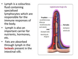 • Lymph is a colourless
fluid containing
specialised
lymphocytes which are
responsible for the
immune responses of
the body.
• Lymph is also an
important carrier for
nutrients, hormones,
etc.
• Fats are absorbed
through lymph in the
lacteals present in the
intestinal villi.
 