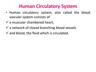 Human Circulatory System
• Human circulatory system, also called the blood
vascular system consists of
 a muscular chambered heart,
 a network of closed branching blood vessels
 and blood, the fluid which is circulated.
 