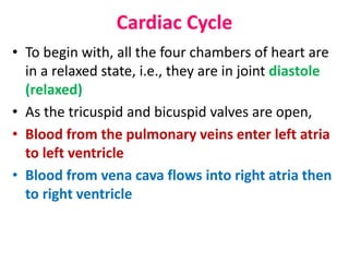 Cardiac Cycle
• To begin with, all the four chambers of heart are
in a relaxed state, i.e., they are in joint diastole
(relaxed)
• As the tricuspid and bicuspid valves are open,
• Blood from the pulmonary veins enter left atria
to left ventricle
• Blood from vena cava flows into right atria then
to right ventricle
 
