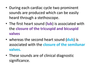 • During each cardiac cycle two prominent
sounds are produced which can be easily
heard through a stethoscope.
• The first heart sound (lub) is associated with
the closure of the tricuspid and bicuspid
valves
• whereas the second heart sound (dub) is
associated with the closure of the semilunar
valves.
• These sounds are of clinical diagnostic
significance.
 