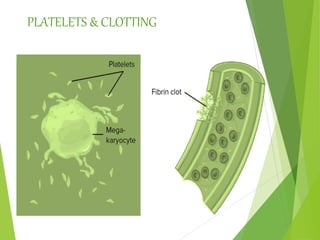 PLATELETS & CLOTTING
 
