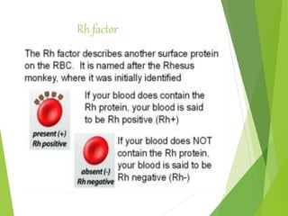 Rh factor
 