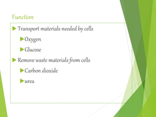Function
 Transport materials needed by cells
Oxygen
Glucose
 Remove waste materials from cells
Carbon dioxide
urea
 