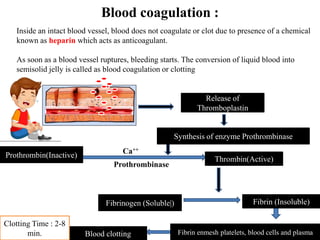 Blood coagulation :
Inside an intact blood vessel, blood does not coagulate or clot due to presence of a chemical
known as heparin which acts as anticoagulant.
As soon as a blood vessel ruptures, bleeding starts. The conversion of liquid blood into
semisolid jelly is called as blood coagulation or clotting
Release of
Thromboplastin
Synthesis of enzyme Prothrombinase
Prothrombin(Inactive)
Thrombin(Active)
Fibrinogen (Soluble|) Fibrin (Insoluble)
Fibrin enmesh platelets, blood cells and plasma
Blood clotting
Ca++
Prothrombinase
Clotting Time : 2-8
min.
 