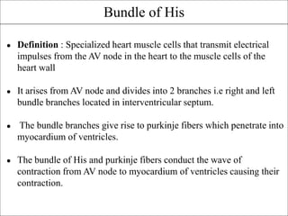 ● Definition : Specialized heart muscle cells that transmit electrical
impulses from the AV node in the heart to the muscle cells of the
heart wall
● It arises from AV node and divides into 2 branches i.e right and left
bundle branches located in interventricular septum.
● The bundle branches give rise to purkinje fibers which penetrate into
myocardium of ventricles.
● The bundle of His and purkinje fibers conduct the wave of
contraction from AV node to myocardium of ventricles causing their
contraction.
Bundle of His
 