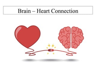 Brain – Heart Connection
 