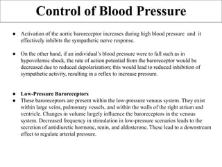● Activation of the aortic baroreceptor increases during high blood pressure and it
effectively inhibits the sympathetic nerve response.
● On the other hand, if an individual’s blood pressure were to fall such as in
hypovolemic shock, the rate of action potential from the baroreceptor would be
decreased due to reduced depolarization; this would lead to reduced inhibition of
sympathetic activity, resulting in a reflex to increase pressure.
● Low-Pressure Baroreceptors
● These baroreceptors are present within the low-pressure venous system. They exist
within large veins, pulmonary vessels, and within the walls of the right atrium and
ventricle. Changes in volume largely influence the baroreceptors in the venous
system. Decreased frequency in stimulation in low-pressure scenarios leads to the
secretion of antidiuretic hormone, renin, and aldosterone. These lead to a downstream
effect to regulate arterial pressure.
Control of Blood Pressure
 