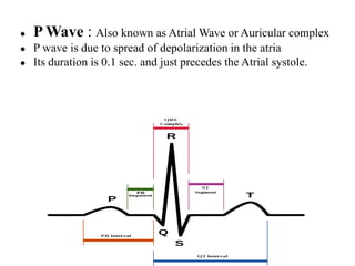 ● P Wave : Also known as Atrial Wave or Auricular complex
● P wave is due to spread of depolarization in the atria
● Its duration is 0.1 sec. and just precedes the Atrial systole.
 