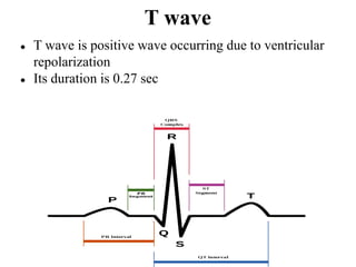 T wave
● T wave is positive wave occurring due to ventricular
repolarization
● Its duration is 0.27 sec
 