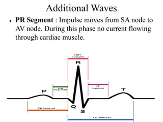 Additional Waves
● PR Segment : Impulse moves from SA node to
AV node. During this phase no current flowing
through cardiac muscle.
 