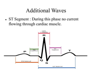 Additional Waves
● ST Segment : During this phase no current
flowing through cardiac muscle.
 