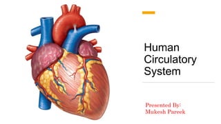 Human
Circulatory
System
Presented By:
Mukesh Pareek
 