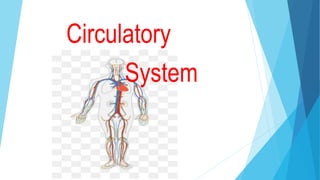 Circulatory
System
 