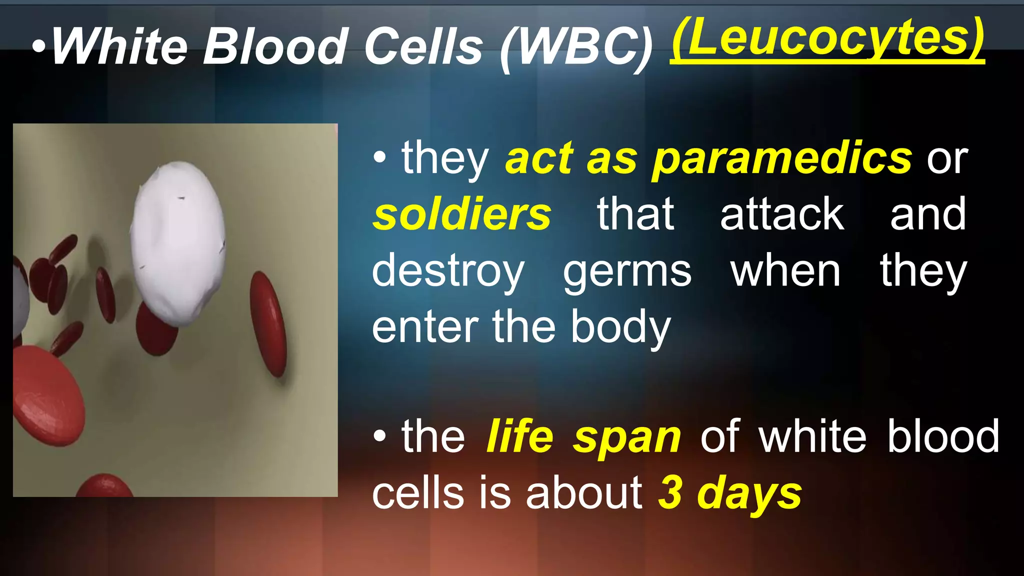 •White Blood Cells (WBC) (Leucocytes)
• they act as paramedics or
soldiers that attack and
destroy germs when they
enter the body
• the life span of white blood
cells is about 3 days
 