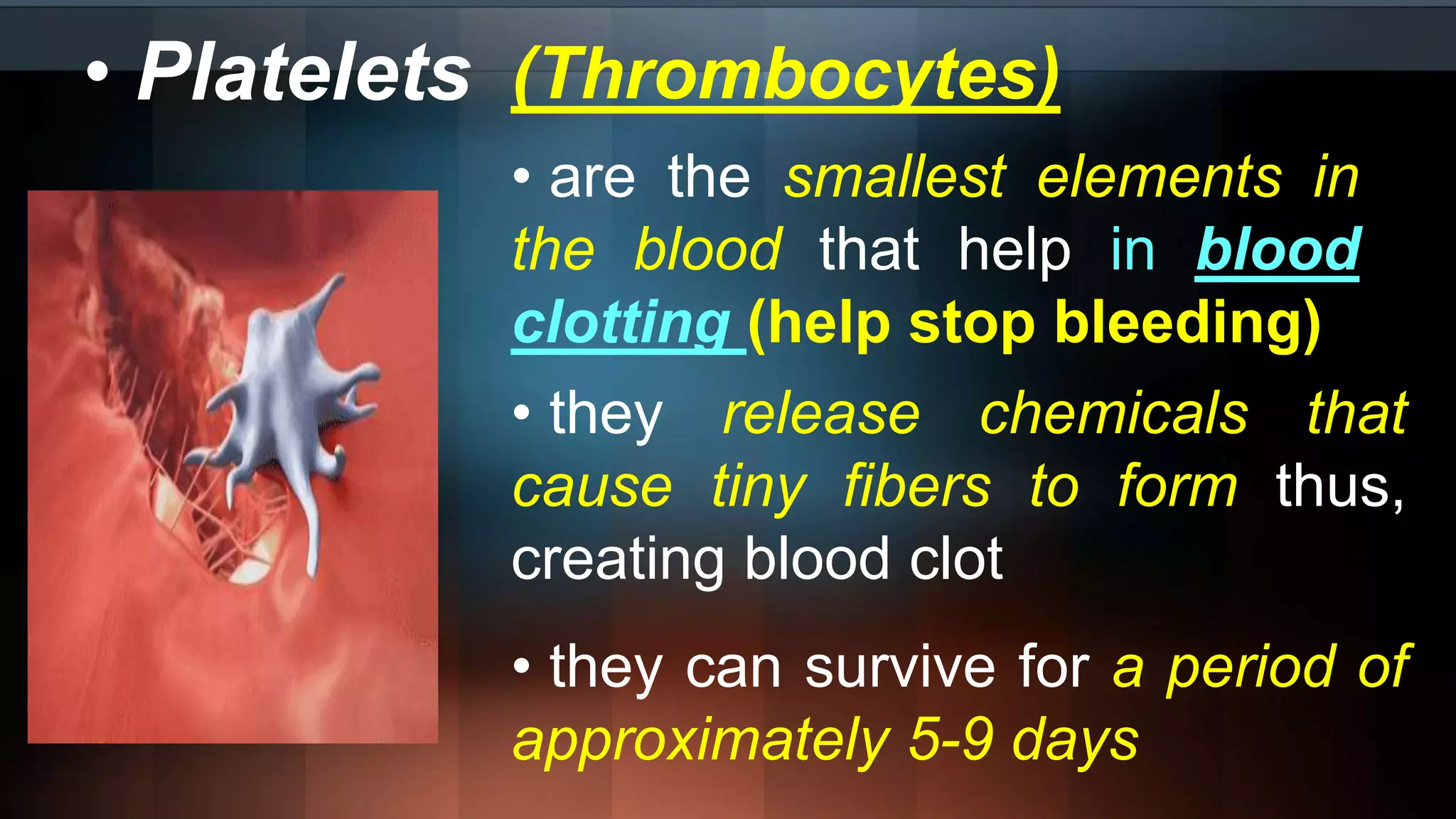 • Platelets (Thrombocytes)
• are the smallest elements in
the blood that help in blood
clotting (help stop bleeding)
• they release chemicals that
cause tiny fibers to form thus,
creating blood clot
• they can survive for a period of
approximately 5-9 days
 