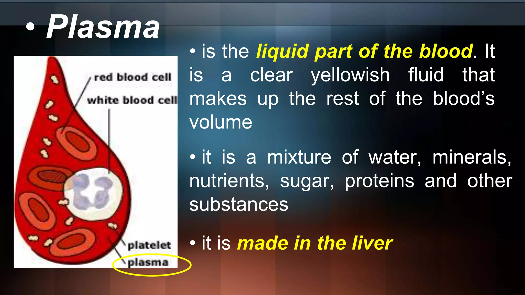 • Plasma
• is the liquid part of the blood. It
is a clear yellowish fluid that
makes up the rest of the blood’s
volume
• it is made in the liver
• it is a mixture of water, minerals,
nutrients, sugar, proteins and other
substances
 