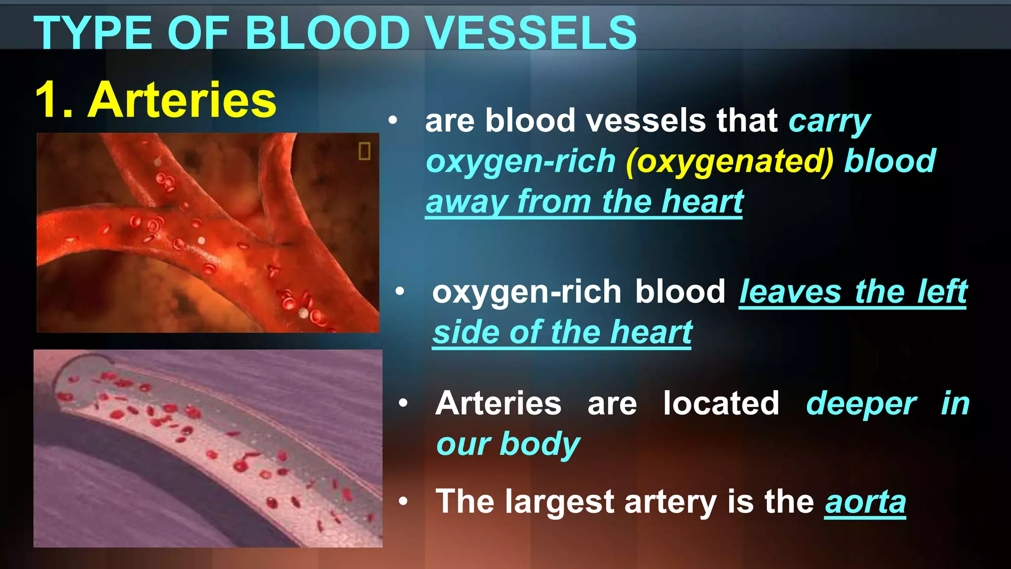TYPE OF BLOOD VESSELS
1. Arteries • are blood vessels that carry
oxygen-rich (oxygenated) blood
away from the heart
• oxygen-rich blood leaves the left
side of the heart
• Arteries are located deeper in
our body
• The largest artery is the aorta
 