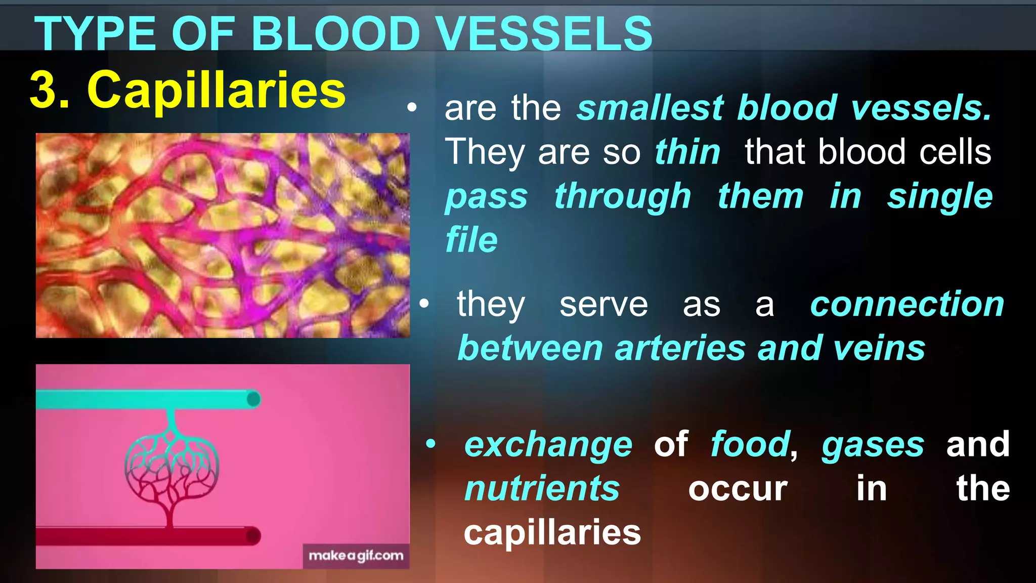 TYPE OF BLOOD VESSELS
3. Capillaries • are the smallest blood vessels.
They are so thin that blood cells
pass through them in single
file
• they serve as a connection
between arteries and veins
• exchange of food, gases and
nutrients occur in the
capillaries
 
