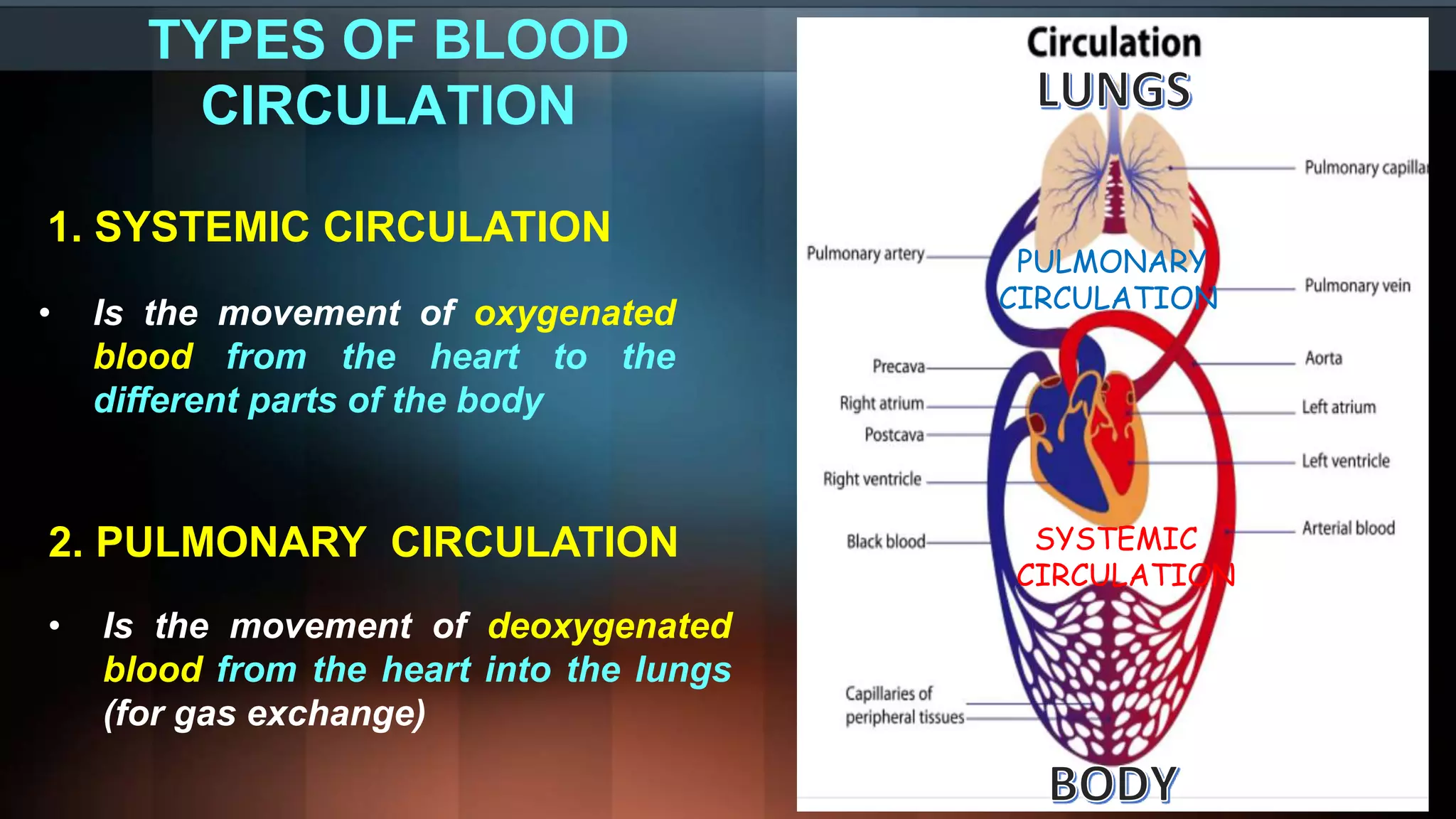 SYSTEMIC
CIRCULATION
PULMONARY
CIRCULATION
TYPES OF BLOOD
CIRCULATION
1. SYSTEMIC CIRCULATION
• Is the movement of oxygenated
blood from the heart to the
different parts of the body
2. PULMONARY CIRCULATION
• Is the movement of deoxygenated
blood from the heart into the lungs
(for gas exchange)
 