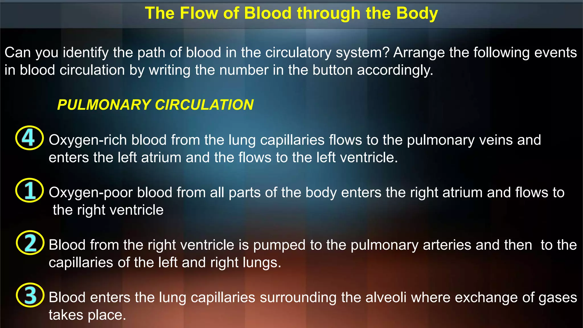 The Flow of Blood through the Body
Can you identify the path of blood in the circulatory system? Arrange the following events
in blood circulation by writing the number in the button accordingly.
PULMONARY CIRCULATION
Oxygen-rich blood from the lung capillaries flows to the pulmonary veins and
enters the left atrium and the flows to the left ventricle.
Oxygen-poor blood from all parts of the body enters the right atrium and flows to
the right ventricle
Blood from the right ventricle is pumped to the pulmonary arteries and then to the
capillaries of the left and right lungs.
Blood enters the lung capillaries surrounding the alveoli where exchange of gases
takes place.
 