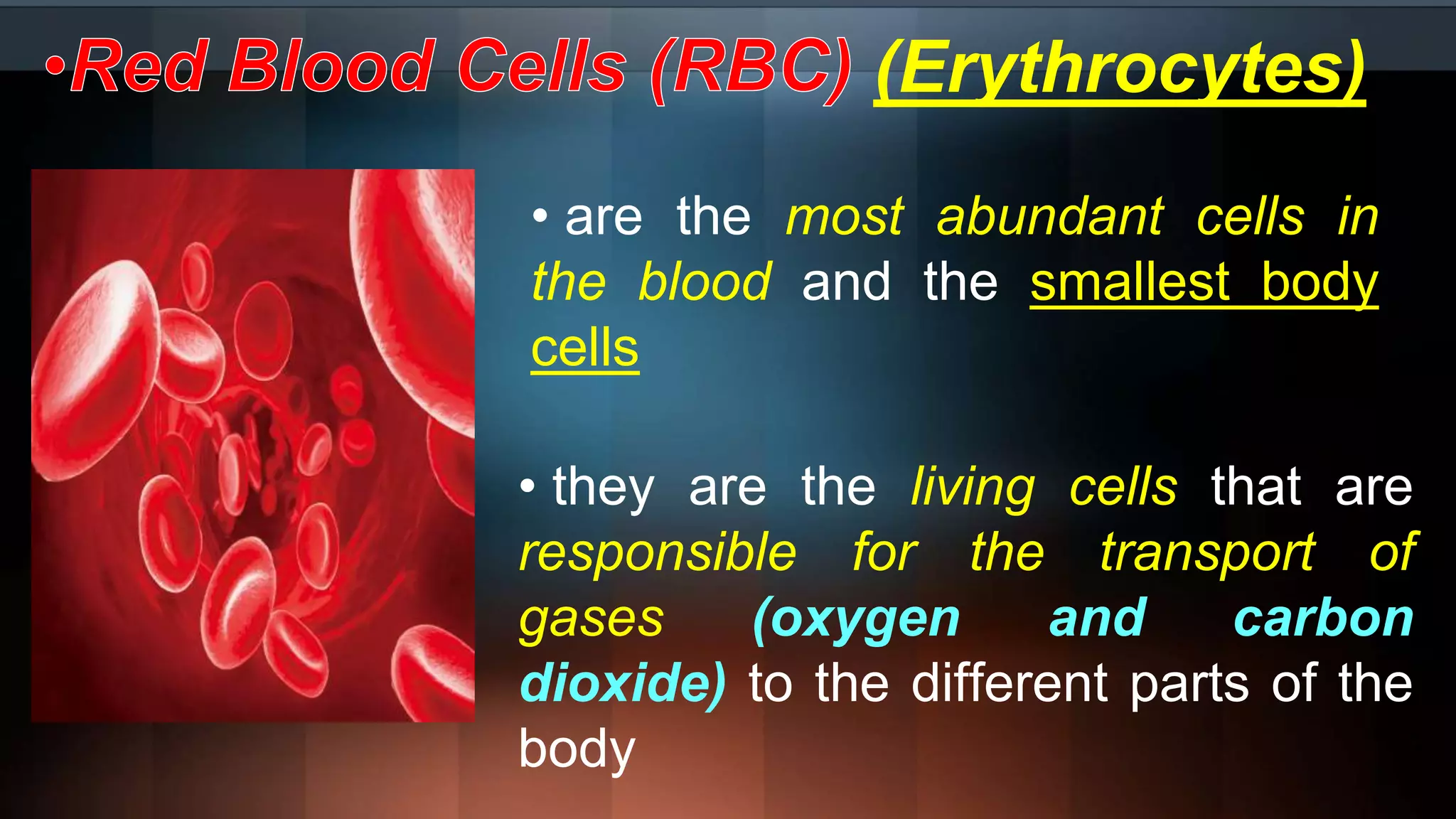 (Erythrocytes)
• are the most abundant cells in
the blood and the smallest body
cells
• they are the living cells that are
responsible for the transport of
gases (oxygen and carbon
dioxide) to the different parts of the
body
 