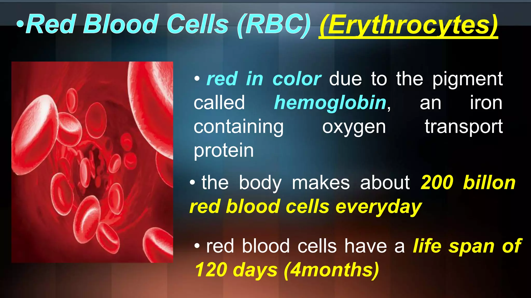 (Erythrocytes)
• red in color due to the pigment
called hemoglobin, an iron
containing oxygen transport
protein
• the body makes about 200 billon
red blood cells everyday
• red blood cells have a life span of
120 days (4months)
 