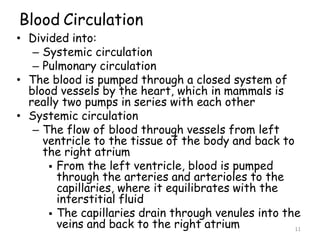 11
Blood Circulation
• Divided into:
– Systemic circulation
– Pulmonary circulation
• The blood is pumped through a closed system of
blood vessels by the heart, which in mammals is
really two pumps in series with each other
• Systemic circulation
– The flow of blood through vessels from left
ventricle to the tissue of the body and back to
the right atrium
 From the left ventricle, blood is pumped
through the arteries and arterioles to the
capillaries, where it equilibrates with the
interstitial fluid
 The capillaries drain through venules into the
veins and back to the right atrium
 