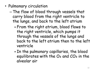 • Pulmonary circulation
– The flow of blood through vessels that
carry blood from the right ventricle to
the lungs, and back to the left atrium
 From the right atrium, blood flows to
the right ventricle, which pumps it
through the vessels of the lungs and
back to the left atrium then to the left
ventricle
 In the pulmonary capillaries, the blood
equilibrates with the O₂ and CO₂ in the
alveolar air
12
 