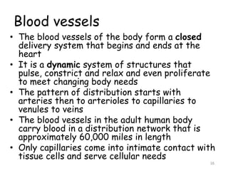 Blood vessels
• The blood vessels of the body form a closed
delivery system that begins and ends at the
heart
• It is a dynamic system of structures that
pulse, constrict and relax and even proliferate
to meet changing body needs
• The pattern of distribution starts with
arteries then to arterioles to capillaries to
venules to veins
• The blood vessels in the adult human body
carry blood in a distribution network that is
approximately 60,000 miles in length
• Only capillaries come into intimate contact with
tissue cells and serve cellular needs
16
 