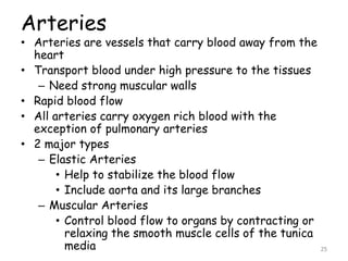 Arteries
• Arteries are vessels that carry blood away from the
heart
• Transport blood under high pressure to the tissues
– Need strong muscular walls
• Rapid blood flow
• All arteries carry oxygen rich blood with the
exception of pulmonary arteries
• 2 major types
– Elastic Arteries
• Help to stabilize the blood flow
• Include aorta and its large branches
– Muscular Arteries
• Control blood flow to organs by contracting or
relaxing the smooth muscle cells of the tunica
media 25
 