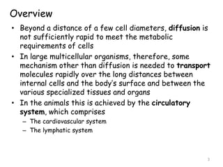 Overview
• Beyond a distance of a few cell diameters, diffusion is
not sufficiently rapid to meet the metabolic
requirements of cells
• In large multicellular organisms, therefore, some
mechanism other than diffusion is needed to transport
molecules rapidly over the long distances between
internal cells and the body’s surface and between the
various specialized tissues and organs
• In the animals this is achieved by the circulatory
system, which comprises
– The cardiovascular system
– The lymphatic system
3
 