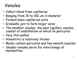 Venules
• Collect blood from capillaries
• Ranging from 15 to 100 m in diameter
• Formed when capillaries unite
• Gradually join to form larger veins
• The smallest venules, the post capillary venules,
consist of endothelium on which lie pericytes
• Very thin walled
• Adventitia is relatively thicker
• Media contain pericytes and few smooth muscles
• Smaller venules serve for interchange of
metabolites
36
 
