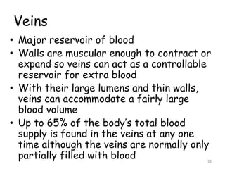 Veins
• Major reservoir of blood
• Walls are muscular enough to contract or
expand so veins can act as a controllable
reservoir for extra blood
• With their large lumens and thin walls,
veins can accommodate a fairly large
blood volume
• Up to 65% of the body’s total blood
supply is found in the veins at any one
time although the veins are normally only
partially filled with blood 38
 