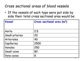 Cross sectional areas of blood vessels
• If the vessels of each type were put side by
side their total cross sectional area would be:
47
Vessel Cross sectional area (m2)
Aorta 2.5
Small arteries 20
Arterioles 40
Capillaries 2500
Venules 250
Small veins 80
Vena cavae 8
 