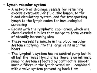 • Lymph vascular system
– A network of drainage vessels for returning
excess extravascular fluid, the lymph, to the
blood circulatory system, and for transporting
lymph to the lymph nodes for immunological
screening
– Begins with the lymphatic capillaries, which are
closed-ended tubules that merge to form vessels
of steadily increasing size
– These vessels terminate in the blood vascular
system emptying into the large veins near the
heart
– The lymphatic system has no central pump but in
all but the tiniest lymphatics there is an intrinsic
pumping system effected by contractile smooth
muscle fibers in the lymph vessel wall, combined
with a valve system preventing back flow 5
 