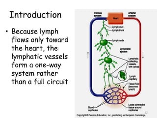 Introduction
• Because lymph
flows only toward
the heart, the
lymphatic vessels
form a one-way
system rather
than a full circuit
52
 