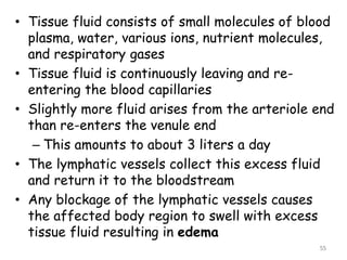 • Tissue fluid consists of small molecules of blood
plasma, water, various ions, nutrient molecules,
and respiratory gases
• Tissue fluid is continuously leaving and re-
entering the blood capillaries
• Slightly more fluid arises from the arteriole end
than re-enters the venule end
– This amounts to about 3 liters a day
• The lymphatic vessels collect this excess fluid
and return it to the bloodstream
• Any blockage of the lymphatic vessels causes
the affected body region to swell with excess
tissue fluid resulting in edema
55
 