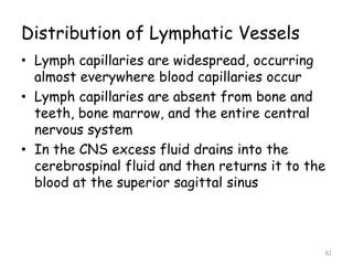 Distribution of Lymphatic Vessels
• Lymph capillaries are widespread, occurring
almost everywhere blood capillaries occur
• Lymph capillaries are absent from bone and
teeth, bone marrow, and the entire central
nervous system
• In the CNS excess fluid drains into the
cerebrospinal fluid and then returns it to the
blood at the superior sagittal sinus
61
 
