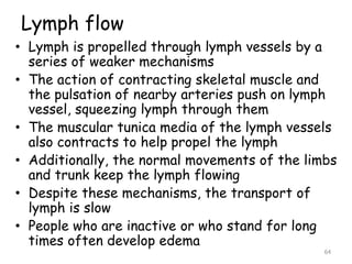 Lymph flow
• Lymph is propelled through lymph vessels by a
series of weaker mechanisms
• The action of contracting skeletal muscle and
the pulsation of nearby arteries push on lymph
vessel, squeezing lymph through them
• The muscular tunica media of the lymph vessels
also contracts to help propel the lymph
• Additionally, the normal movements of the limbs
and trunk keep the lymph flowing
• Despite these mechanisms, the transport of
lymph is slow
• People who are inactive or who stand for long
times often develop edema
64
 