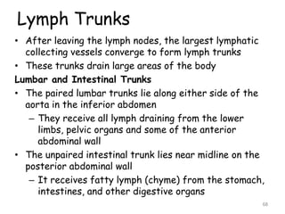 Lymph Trunks
• After leaving the lymph nodes, the largest lymphatic
collecting vessels converge to form lymph trunks
• These trunks drain large areas of the body
Lumbar and Intestinal Trunks
• The paired lumbar trunks lie along either side of the
aorta in the inferior abdomen
– They receive all lymph draining from the lower
limbs, pelvic organs and some of the anterior
abdominal wall
• The unpaired intestinal trunk lies near midline on the
posterior abdominal wall
– It receives fatty lymph (chyme) from the stomach,
intestines, and other digestive organs
68
 