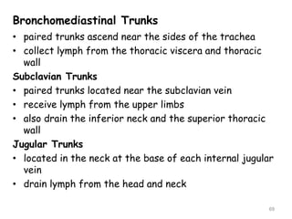 Bronchomediastinal Trunks
• paired trunks ascend near the sides of the trachea
• collect lymph from the thoracic viscera and thoracic
wall
Subclavian Trunks
• paired trunks located near the subclavian vein
• receive lymph from the upper limbs
• also drain the inferior neck and the superior thoracic
wall
Jugular Trunks
• located in the neck at the base of each internal jugular
vein
• drain lymph from the head and neck
69
 