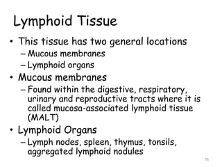 Lymphoid Tissue
• This tissue has two general locations
– Mucous membranes
– Lymphoid organs
• Mucous membranes
– Found within the digestive, respiratory,
urinary and reproductive tracts where it is
called mucosa-associated lymphoid tissue
(MALT)
• Lymphoid Organs
– Lymph nodes, spleen, thymus, tonsils,
aggregated lymphoid nodules
76
 
