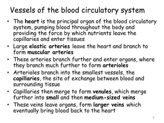 Vessels of the blood circulatory system
• The heart is the principal organ of the blood circulatory
system, pumping blood throughout the body and
providing the force by which nutrients leave the
capillaries and enter tissues
• Large elastic arteries leave the heart and branch to
form muscular arteries
• These arteries branch further and enter organs, where
they branch much further to form arterioles
• Arterioles branch into the smallest vessels, the
capillaries, the site of exchange between blood and
surrounding tissue
• Capillaries then merge to form venules, which merge
further into small and then medium-sized veins
• These veins leave organs, form larger veins which
eventually bring blood back to the heart
9
 