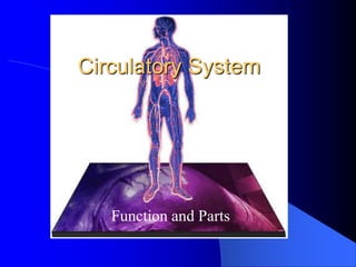 Circulatory System
Function and Parts
 