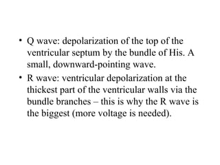 • Q wave: depolarization of the top of the
ventricular septum by the bundle of His. A
small, downward-pointing wave.
• R wave: ventricular depolarization at the
thickest part of the ventricular walls via the
bundle branches – this is why the R wave is
the biggest (more voltage is needed).
 