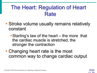 The Heart: Regulation of Heart
Rate
Slide
Copyright © 2003 Pearson Education, Inc. publishing as Benjamin Cummings
∙ Stroke volume usually remains relatively
constant
∙Starling’s law of the heart – the more that
the cardiac muscle is stretched, the
stronger the contraction
∙ Changing heart rate is the most
common way to change cardiac output
 