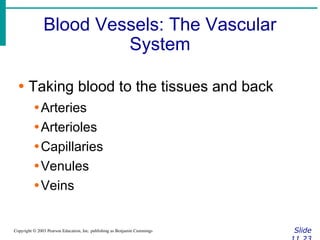 Blood Vessels: The Vascular
System
Slide
Copyright © 2003 Pearson Education, Inc. publishing as Benjamin Cummings
∙ Taking blood to the tissues and back
∙Arteries
∙Arterioles
∙Capillaries
∙Venules
∙Veins
 