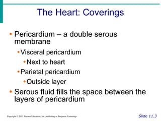 The Heart: Coverings
Slide 11.3
Copyright © 2003 Pearson Education, Inc. publishing as Benjamin Cummings
∙ Pericardium – a double serous
membrane
∙Visceral pericardium
∙Next to heart
∙Parietal pericardium
∙Outside layer
∙ Serous fluid fills the space between the
layers of pericardium
 