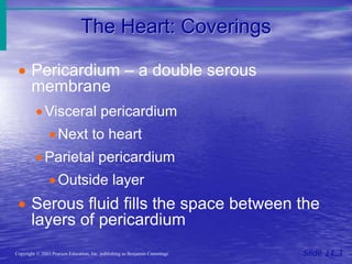 The Heart: Coverings
Slide 11.3
Copyright © 2003 Pearson Education, Inc. publishing as Benjamin Cummings
 Pericardium – a double serous
membrane
Visceral pericardium
Next to heart
Parietal pericardium
Outside layer
 Serous fluid fills the space between the
layers of pericardium
 